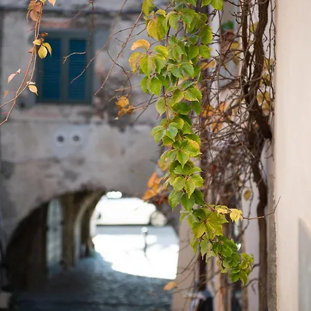 Borgo Vistalago Hotel 3*